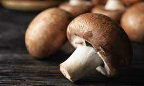 Buy Mushroom Online