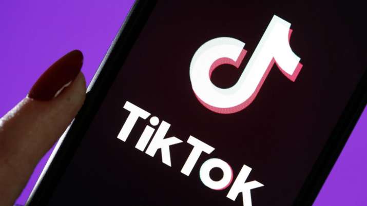 TikTok Video Downloader site